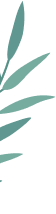 ux design bg