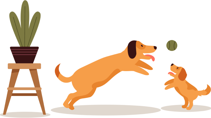 dogs