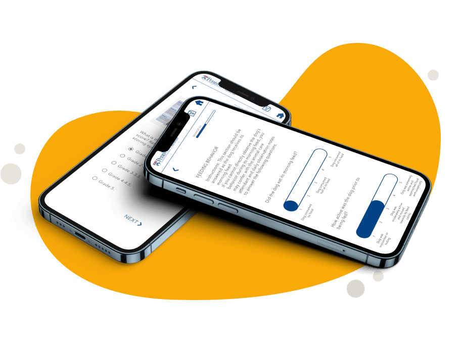 build veterinary app cost