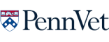 link to develop.interexy.com/case/penn-vet-app/